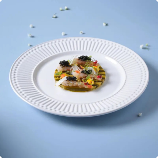 pratos raso roma branco o26cm porto brasil 3