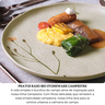 pratos raso bio stoneware campestre o27 5cm porto brasil 2