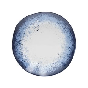 9620 ryo galapagos prato sobremesa media