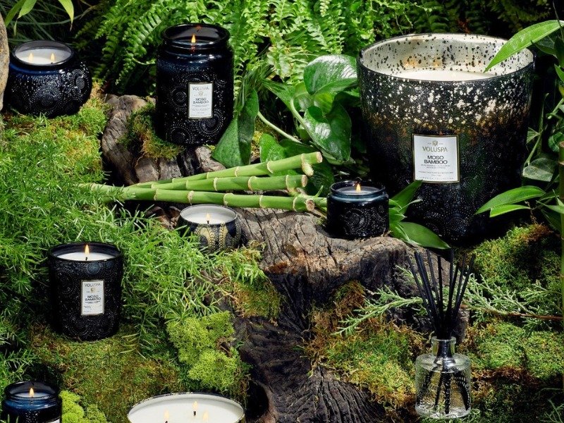 Imagem do WhatsApp de 2025 10 15 s 1419_0e337cddjpg