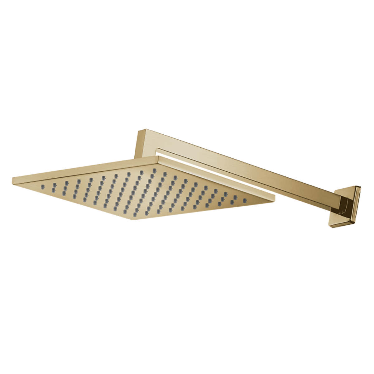 7048717 chuveiro de parede brushed gold lorenquadra lorenzetti